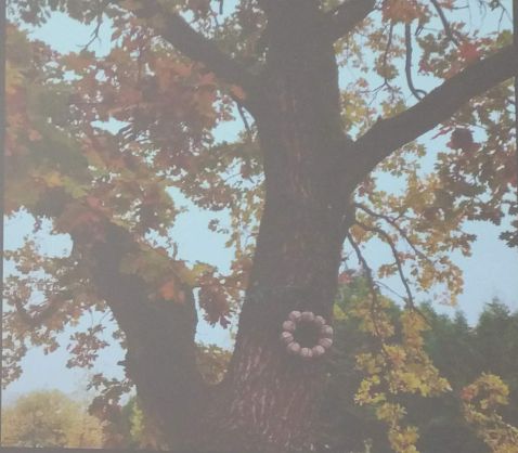 Baum mit Meisenknödel