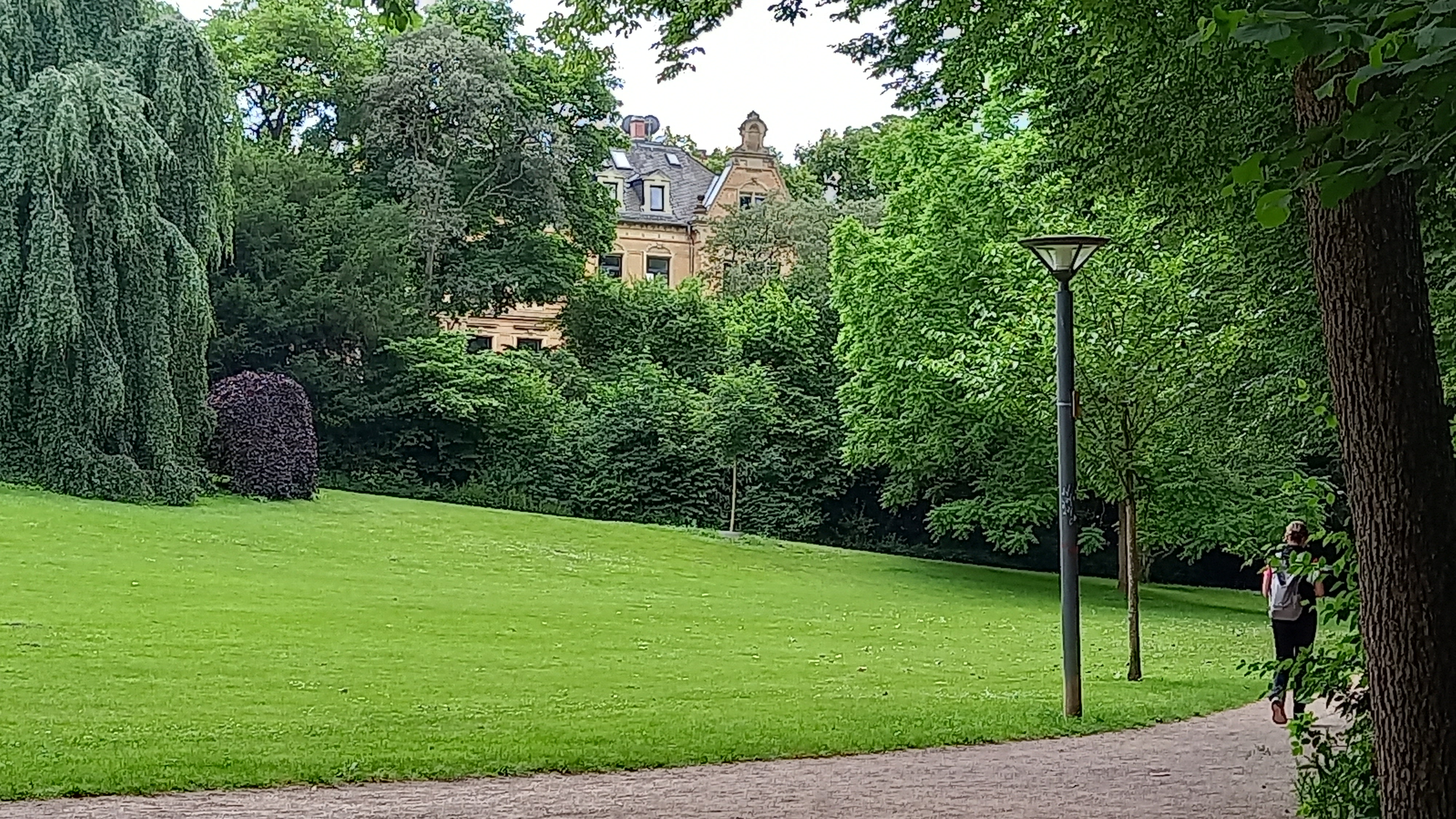 Blick auf eine Wiese im Park. Im Hintergrund Bäume und eine alte Villa.